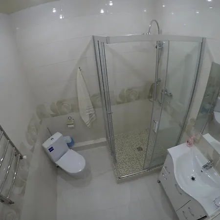 Vip In The Center Apartment Truskavets