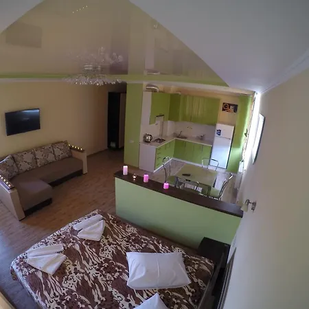 Vip In The Center Apartment Truskavets